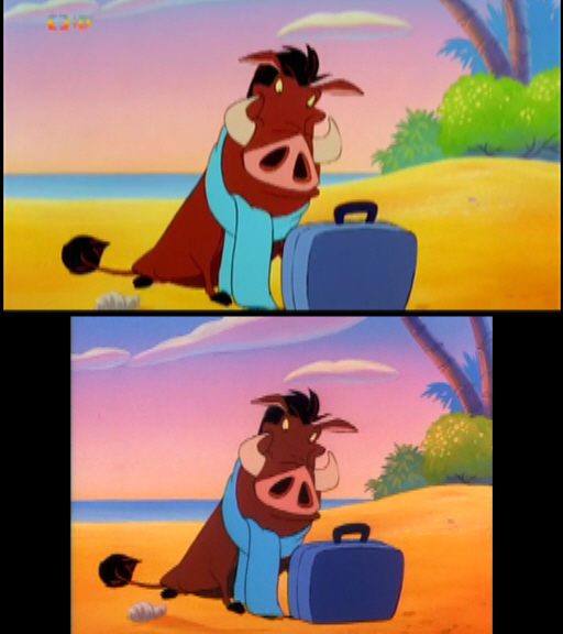Porovnání formátů obrazu Timon a Pumbaa